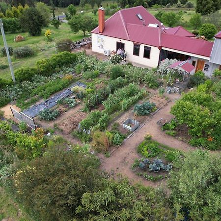 Cherry Top Farmstay - Boutique Eco Village Lilydale ภายนอก รูปภาพ