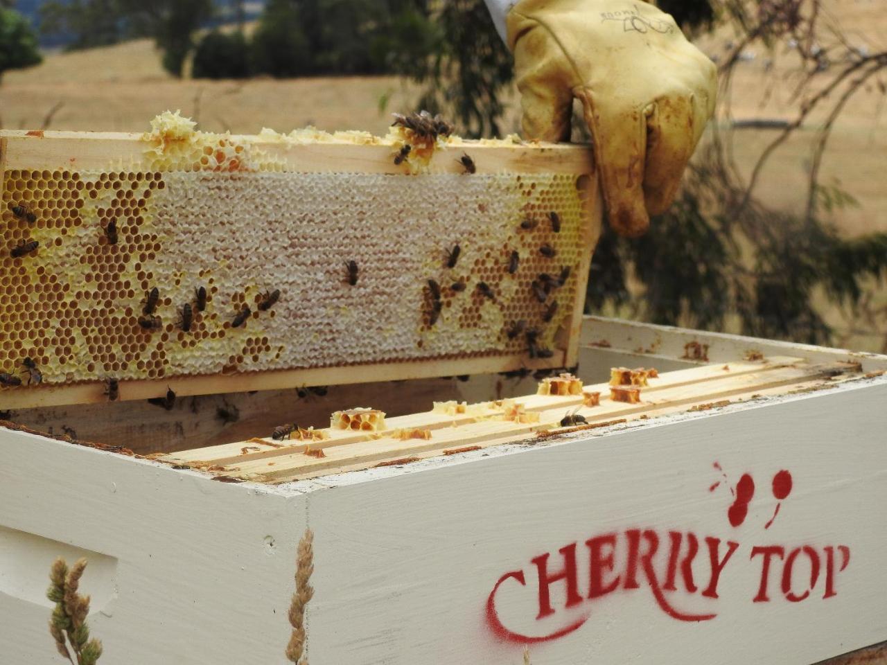 Cherry Top Farmstay - Boutique Eco Village Lilydale ภายนอก รูปภาพ