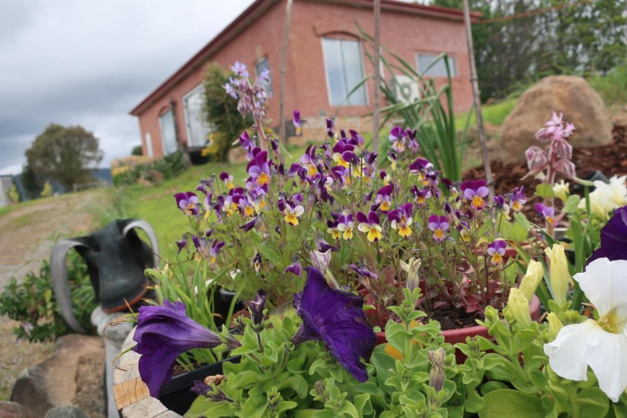 Cherry Top Farmstay - Boutique Eco Village Lilydale ภายนอก รูปภาพ