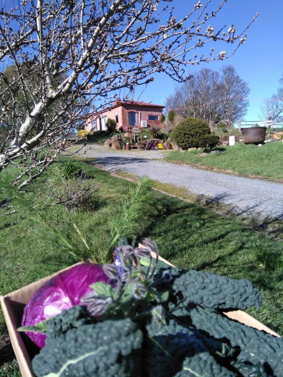 Cherry Top Farmstay - Boutique Eco Village Lilydale ภายนอก รูปภาพ
