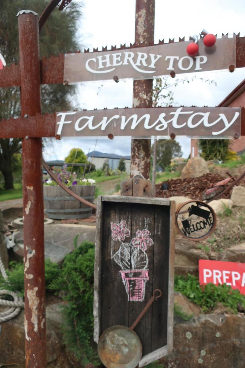 Cherry Top Farmstay - Boutique Eco Village Lilydale ภายนอก รูปภาพ