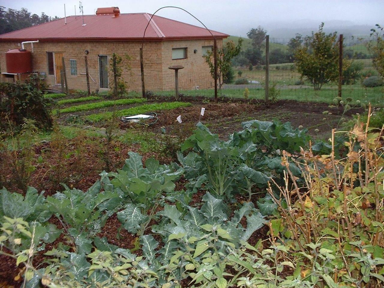Cherry Top Farmstay - Boutique Eco Village Lilydale ภายนอก รูปภาพ