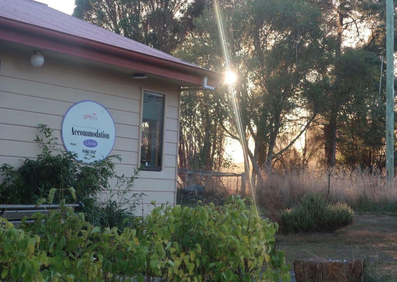 Cherry Top Farmstay - Boutique Eco Village Lilydale ภายนอก รูปภาพ